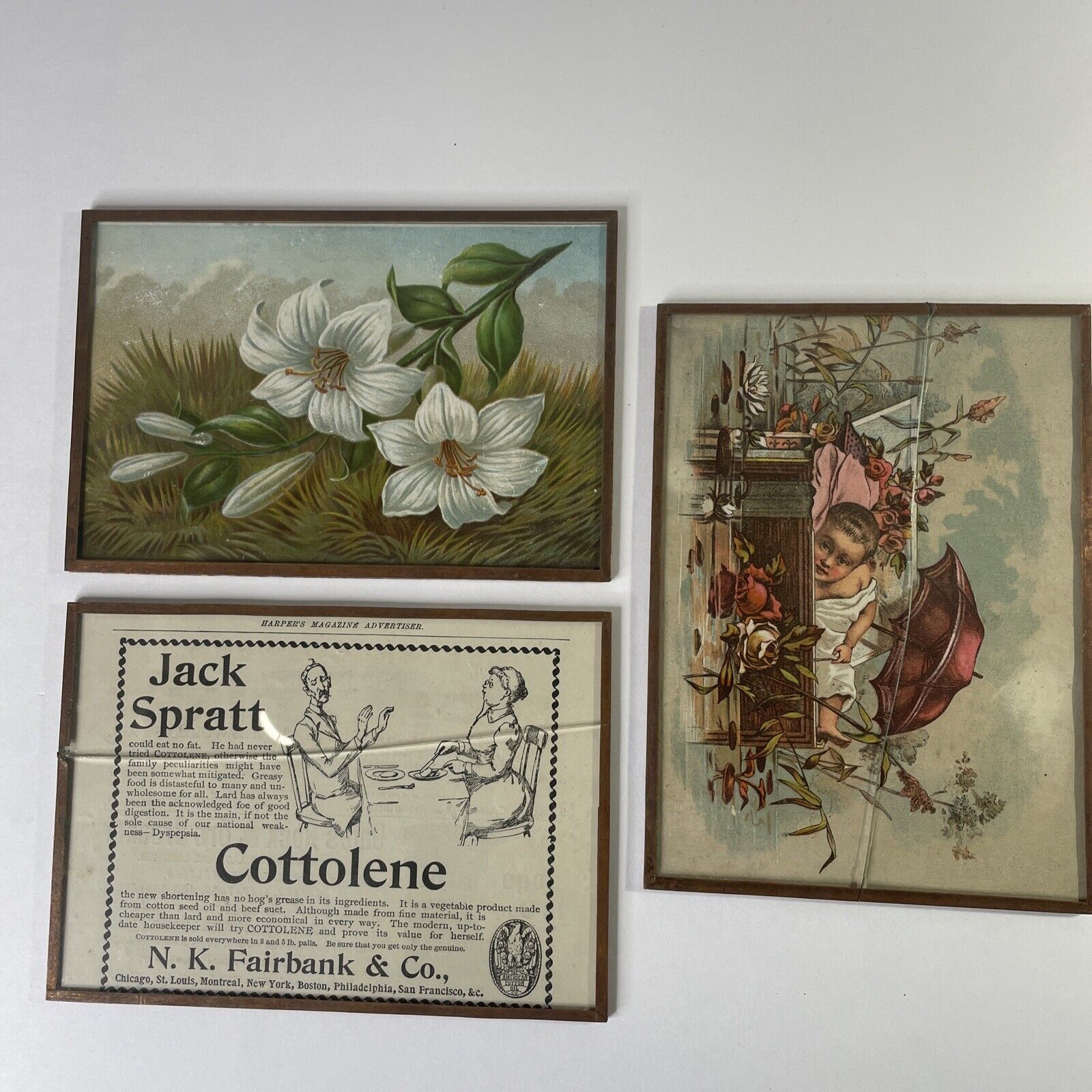 Antique 1870s-1890s Victorian Trade Cards Wilson Spice Lion Coffee Cottolene