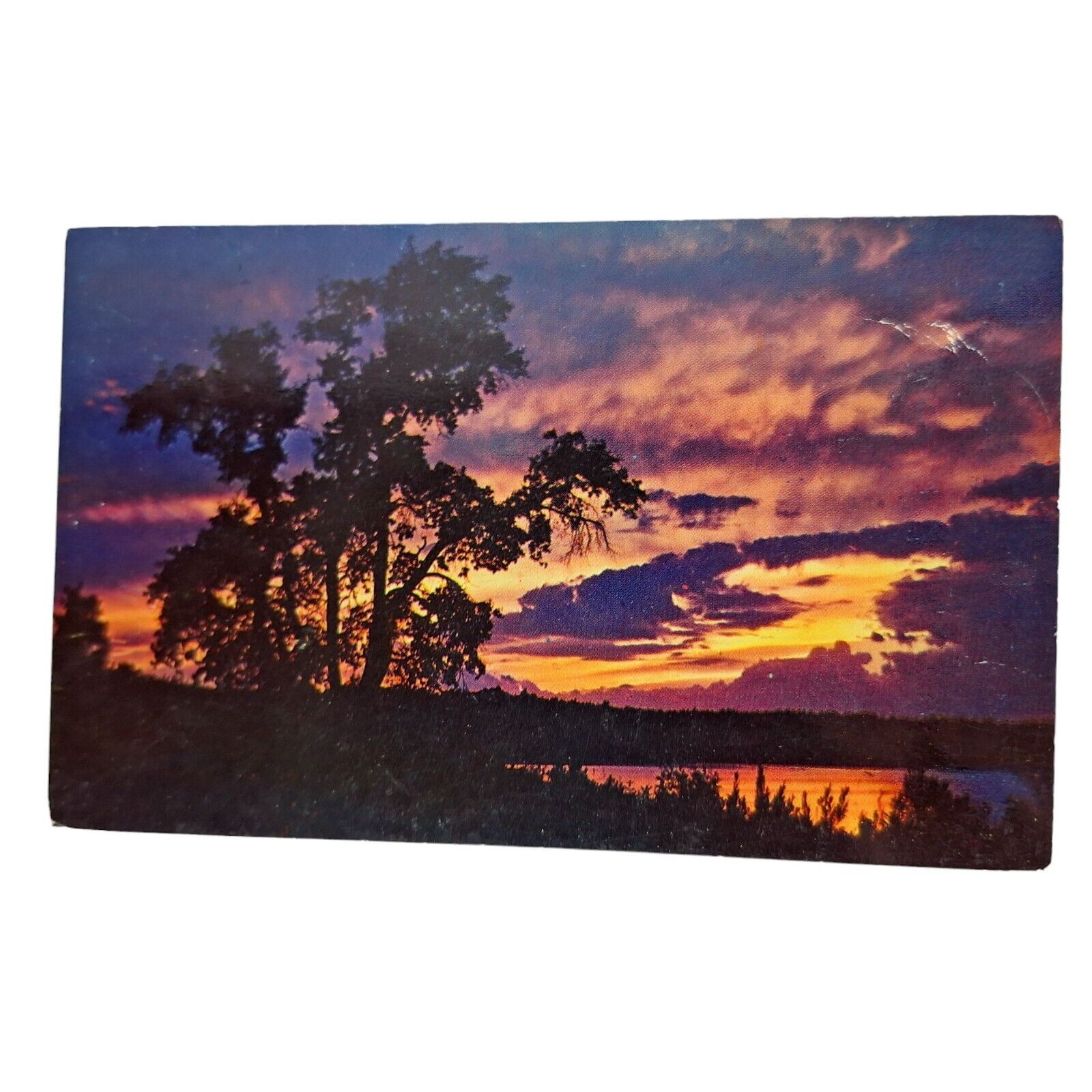 Postcard Sunset At Dusk Trees Chrome Unposted