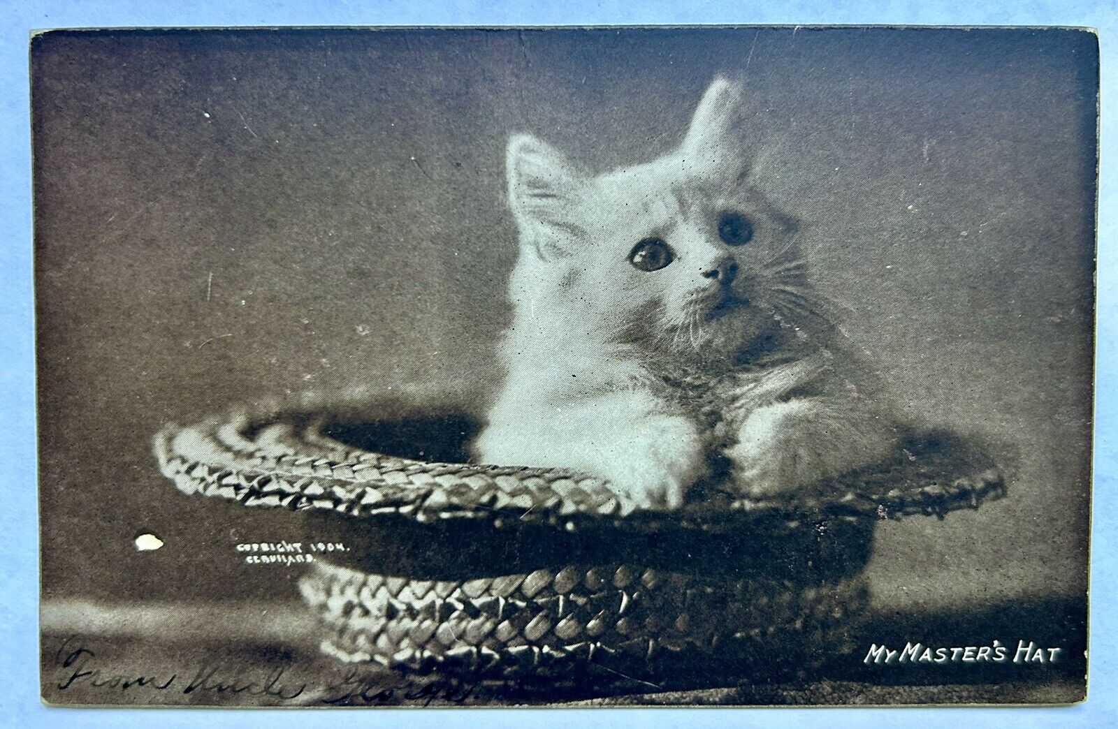 My Masters Hat. 1904 Kitten In Hat. Vintage Cat Postcard