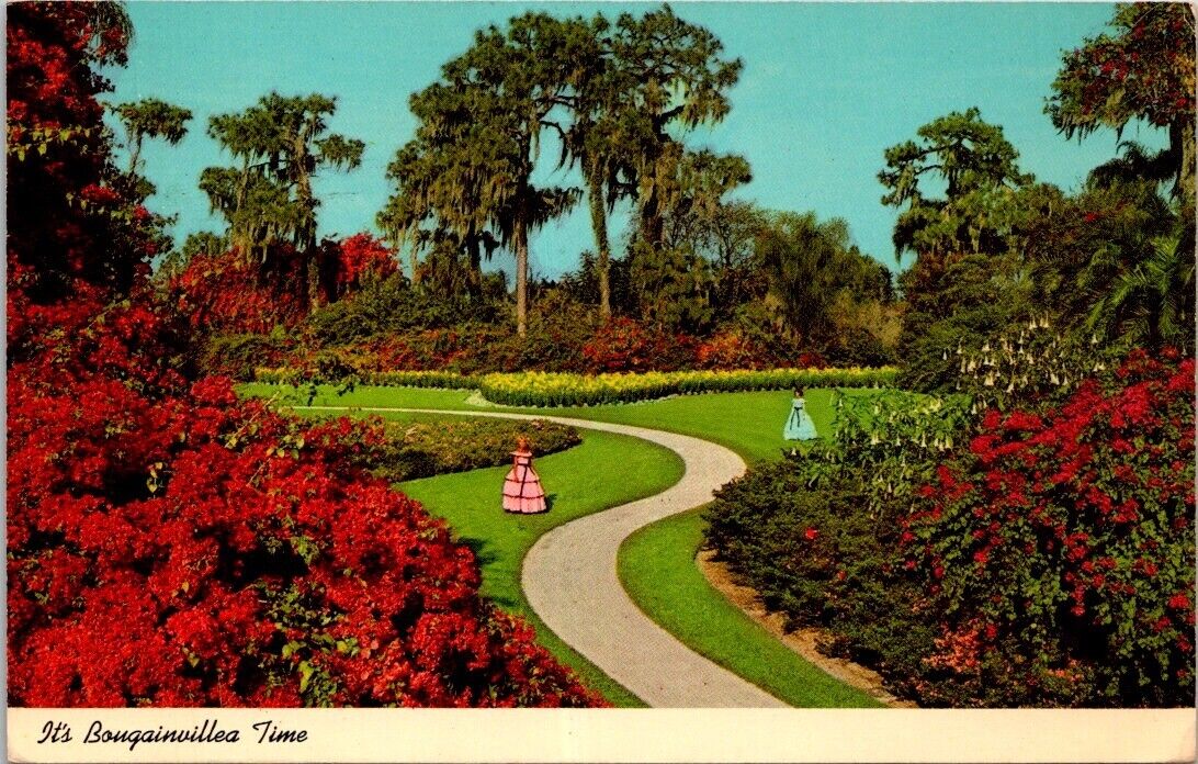 Orlando FL Florida Cypress Gardens Pretty Models Bougainvillea Vintage Postcard