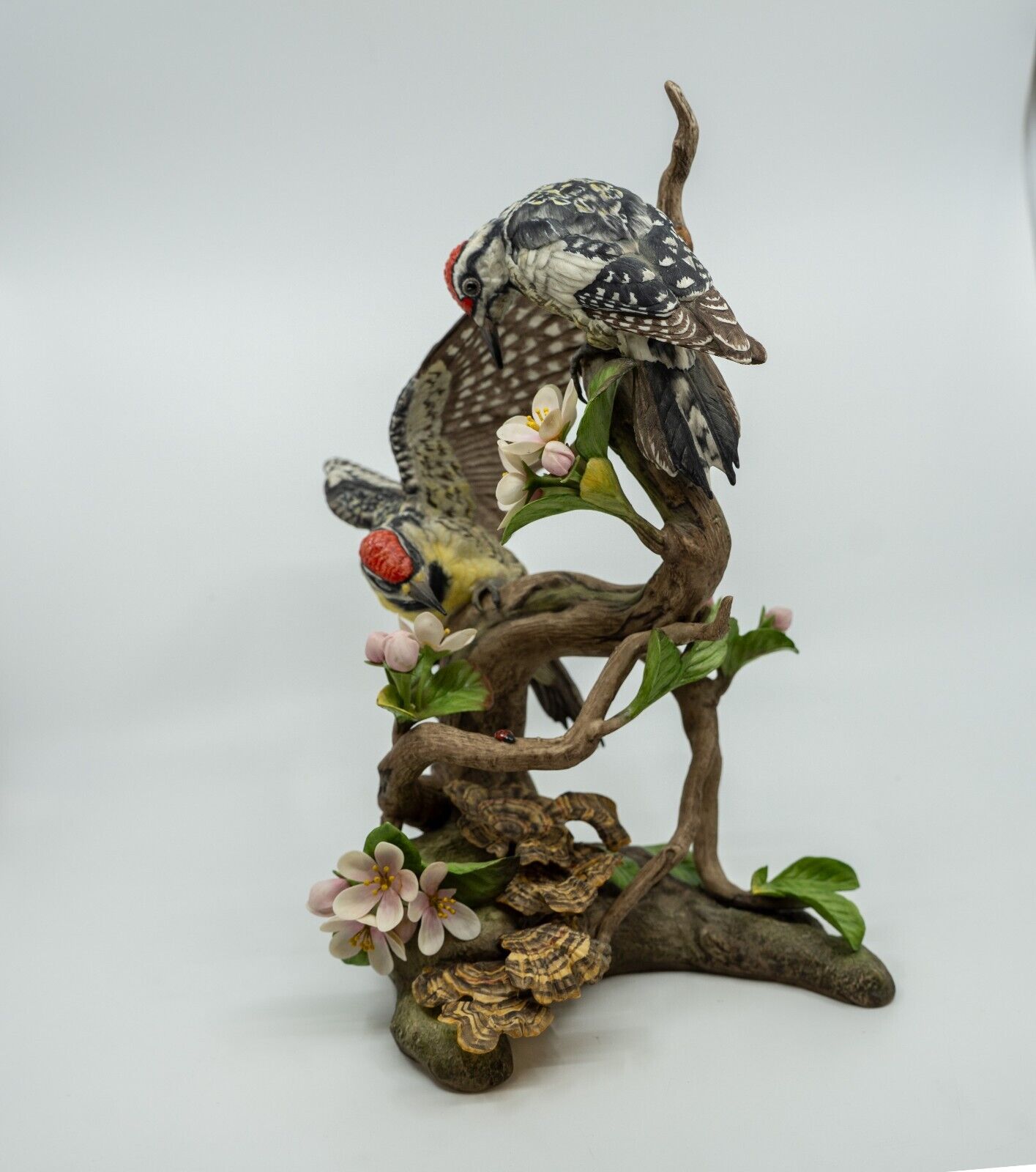 Boehm Limited Edition Porcelain Yellow Bellied Sapsucker