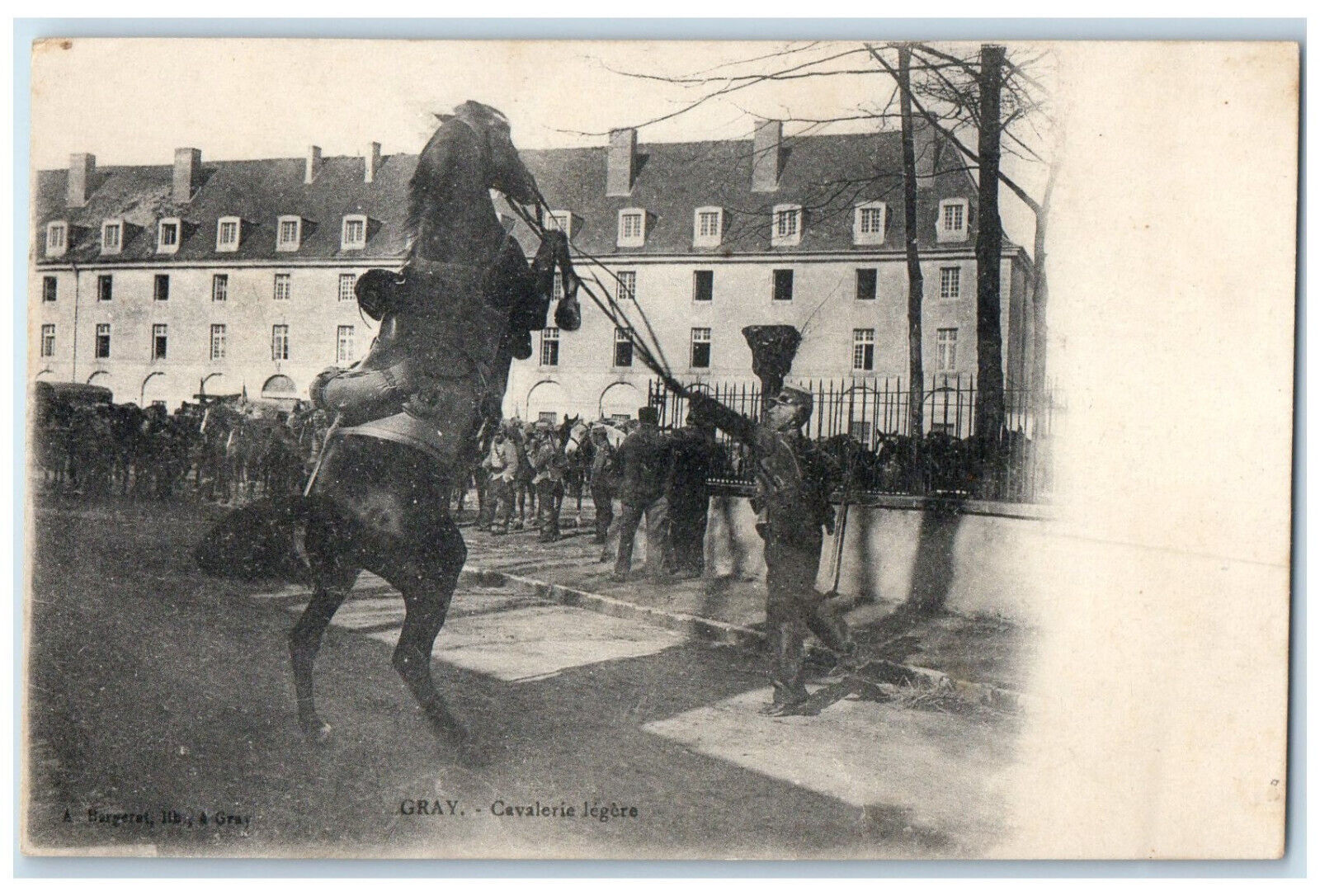 c1940's Cavalry To Read Horse Standing Trick Gray Vintage France Postcard
