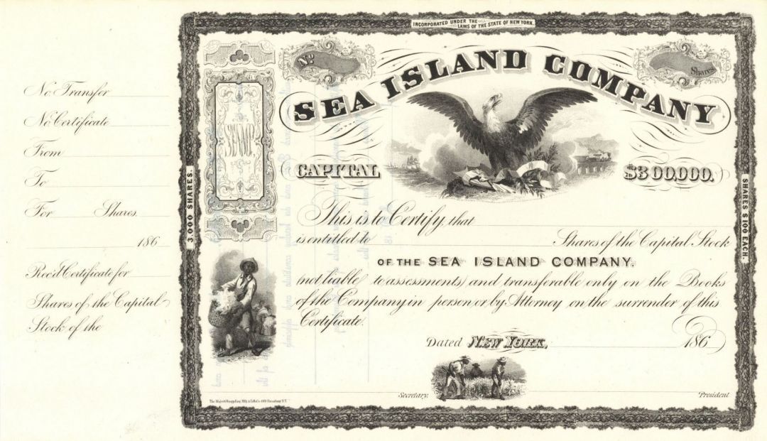 Sea Island Co. - Cotton History - Gorgeous 1860's circa South Carolina, Georgia,