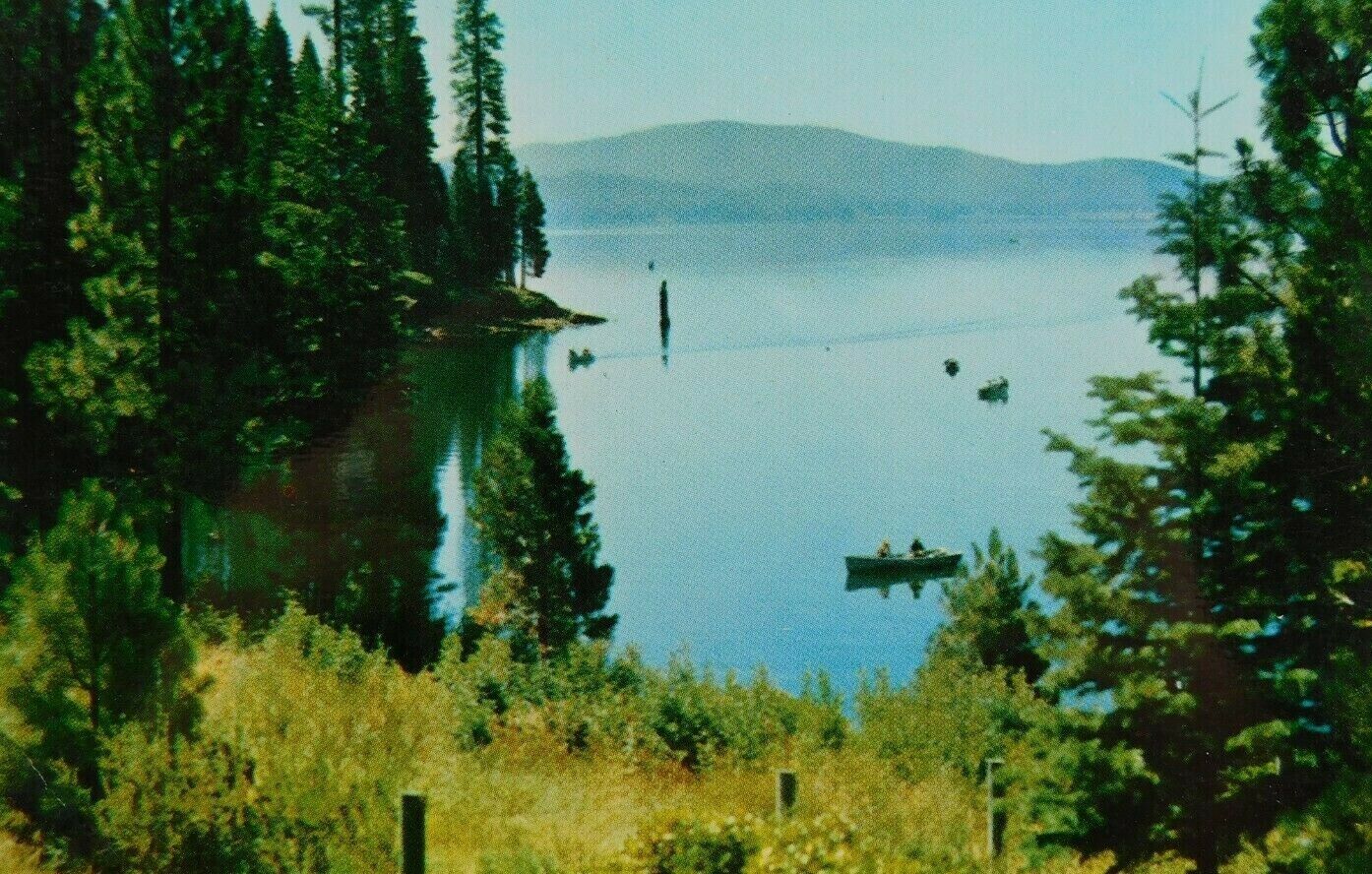 Lake Almanor California Nature Scene Boating Canoe Chrome Vintage Postcard