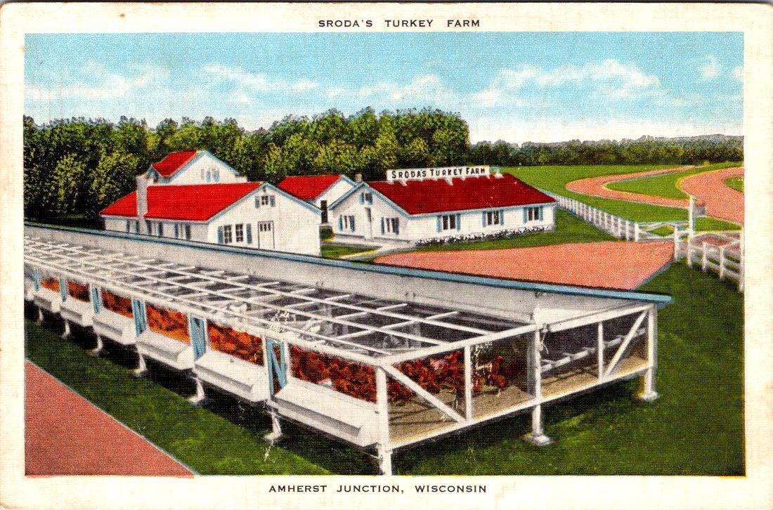 Amherst Junction, WI Wisconsin SRODA\'S TURKEY FARM Portage County LINEN Postcard