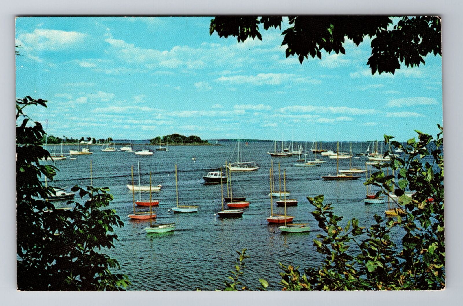 Camden ME- Maine, Sailboats In Outer Harbor, Antique, Vintage Souvenir Postcard