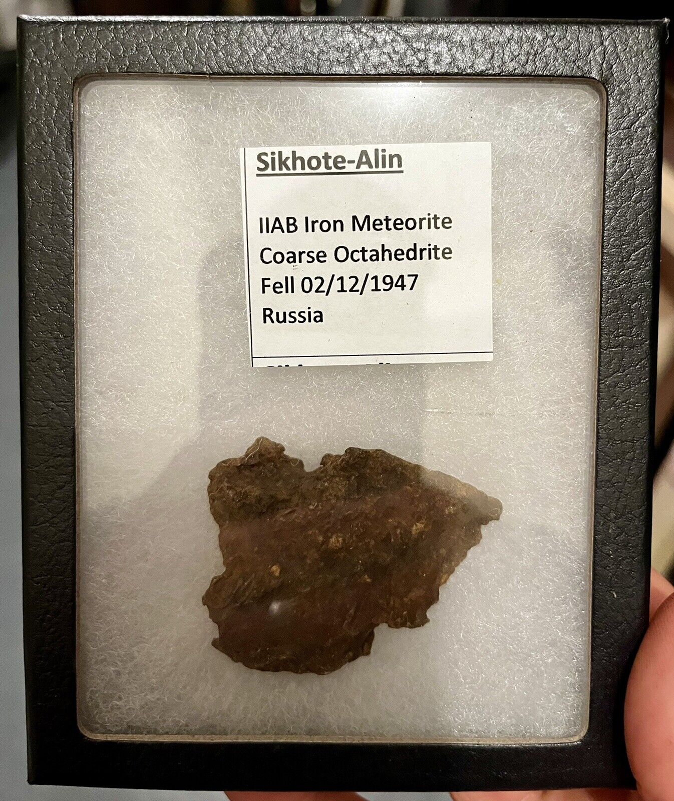 Sikhote Alin Iron Meteorite 11AB octahedrite 96 grams