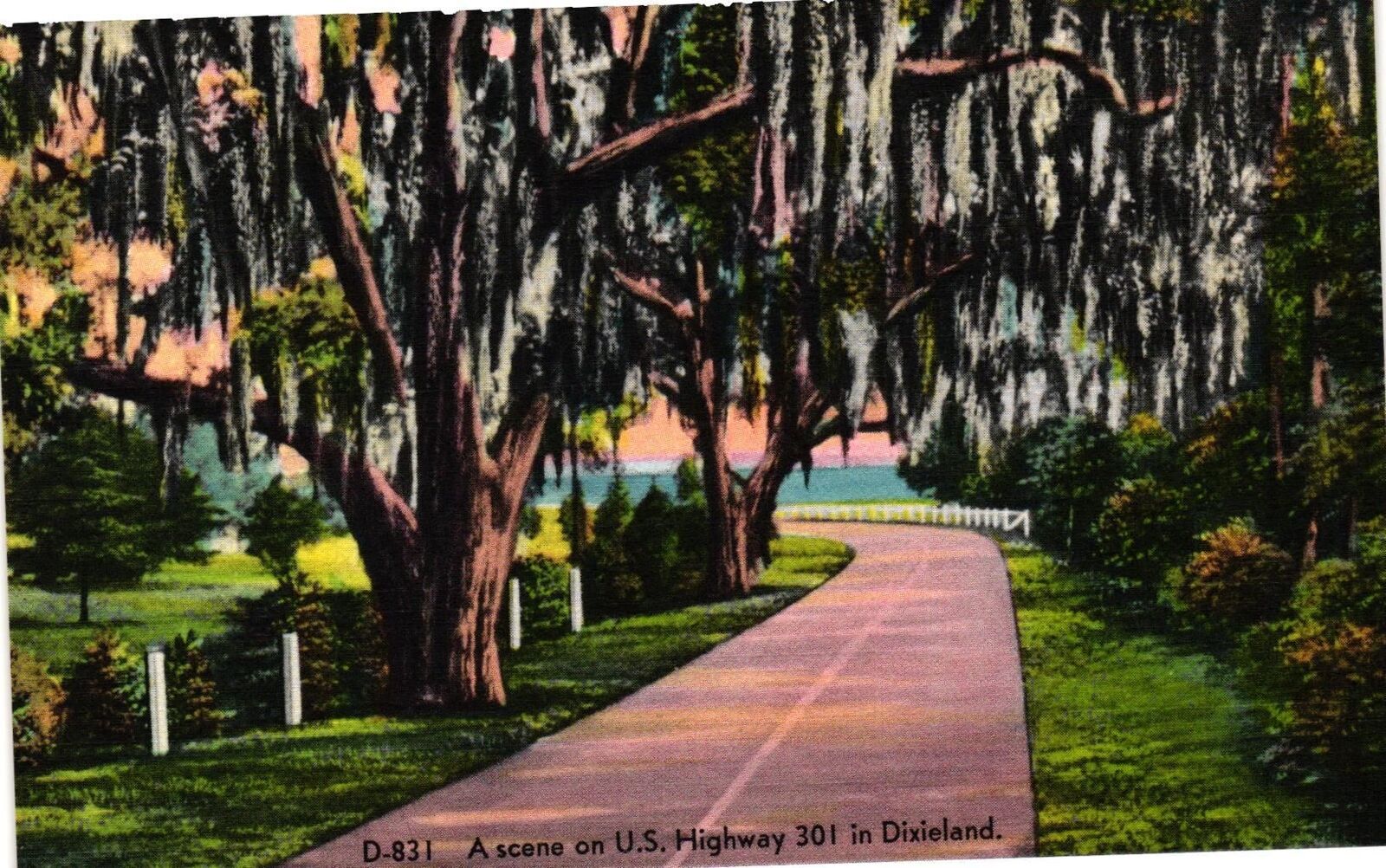 VTG Postcard- D831. US HWY 301 DIXIELAND. UnPost 1910