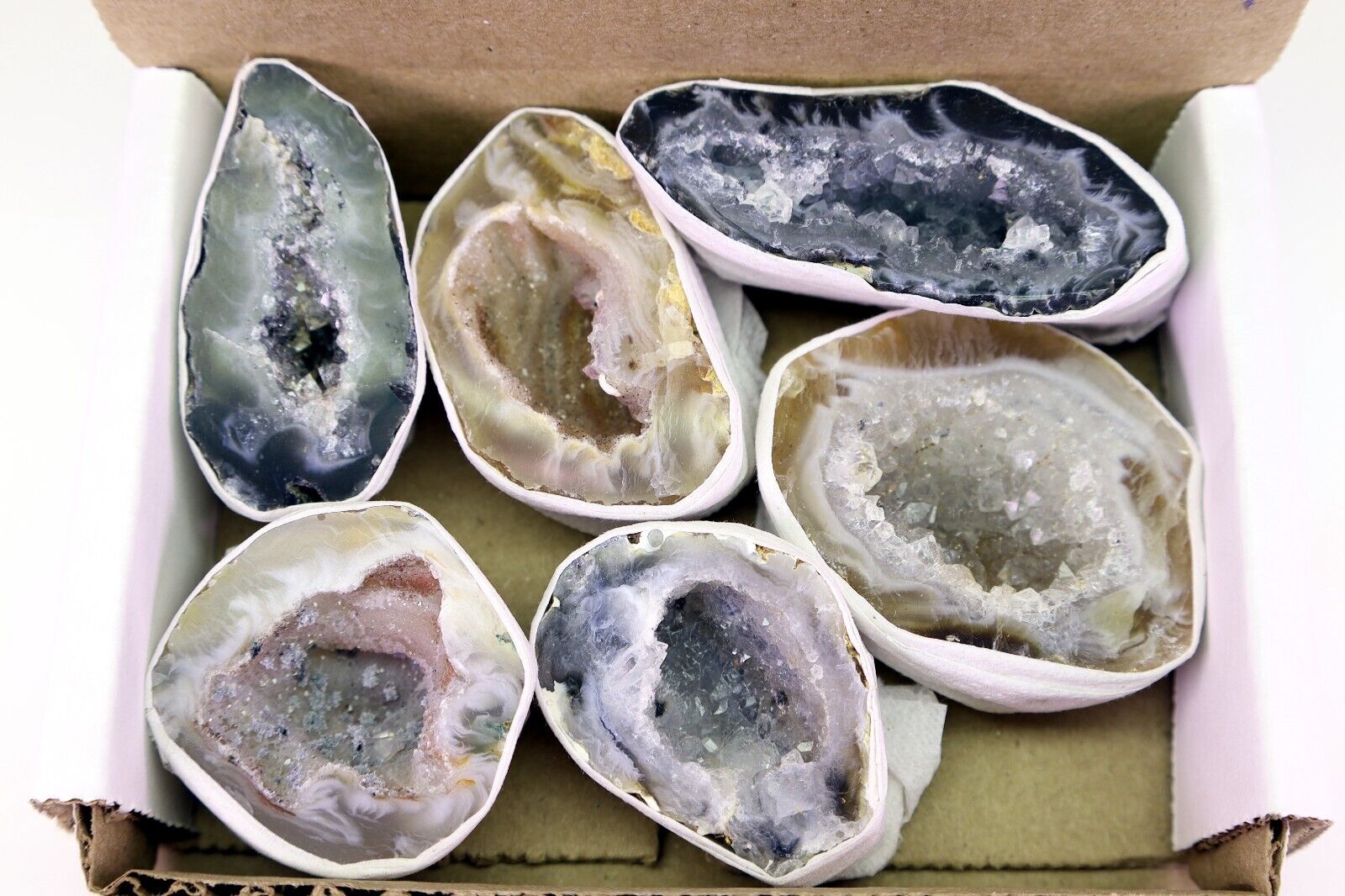 Oco Geodes 6 Pieces Natural Polished Agate Crystals Druzy Geode Halves A Grade