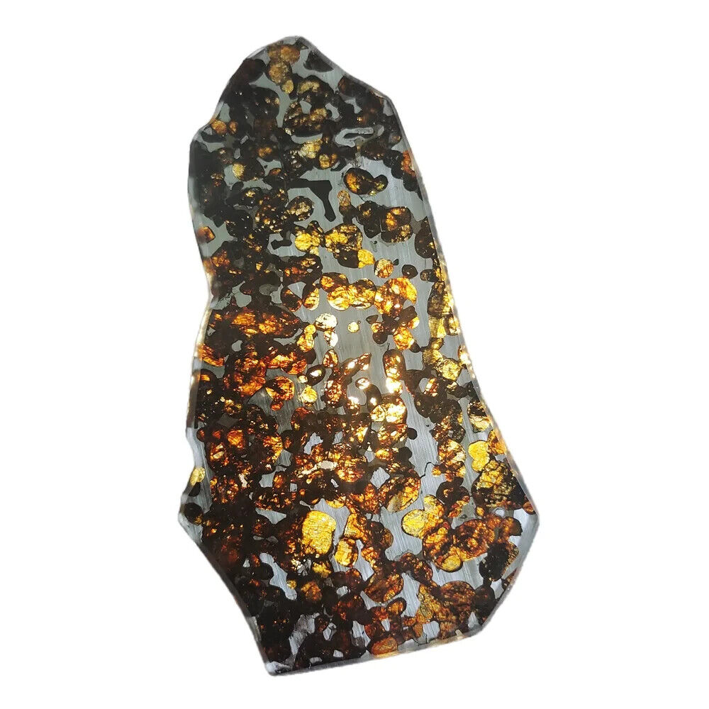 72.9g Seymchan pallasite Meteorite slice  TA301