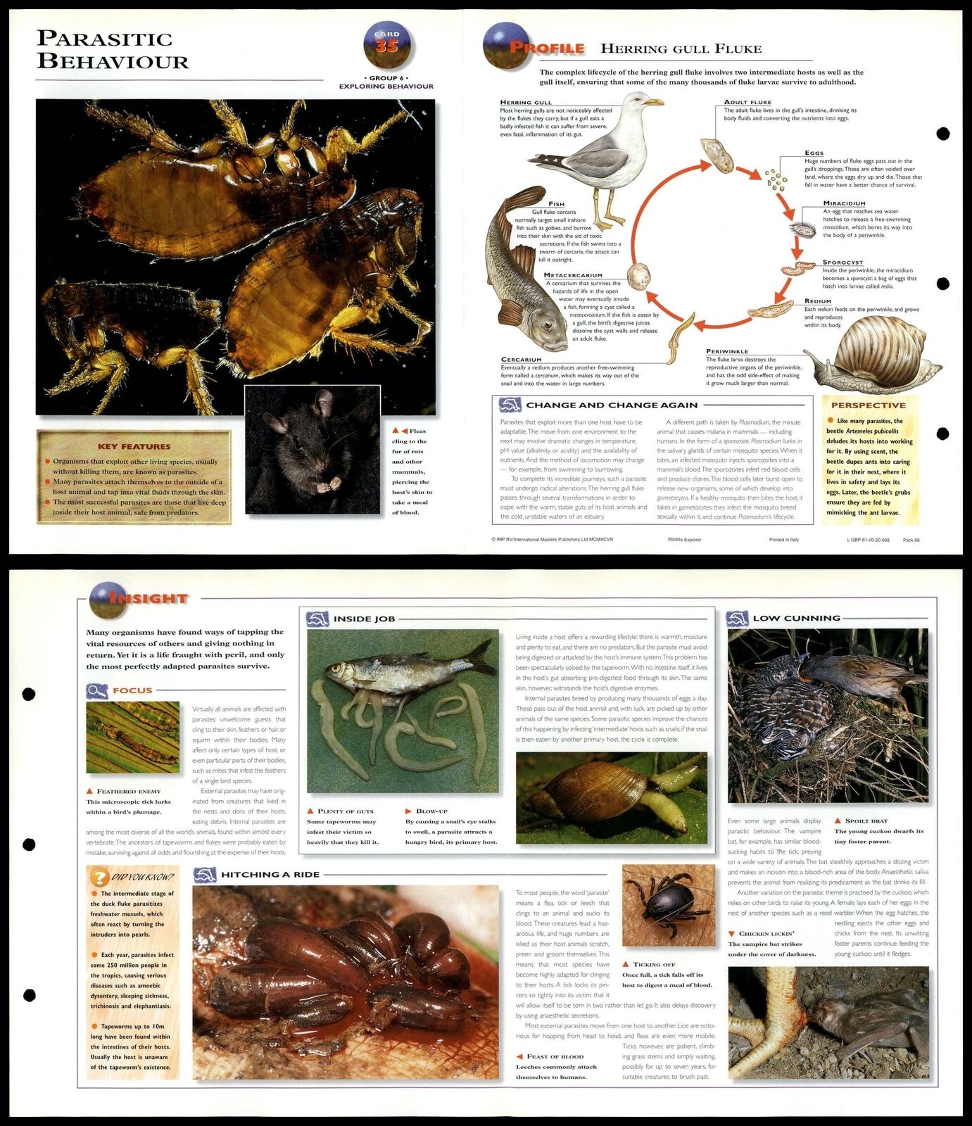 Parasitic Behaviour #35 Behaviour - Wildlife Explorer Fold-Out Card