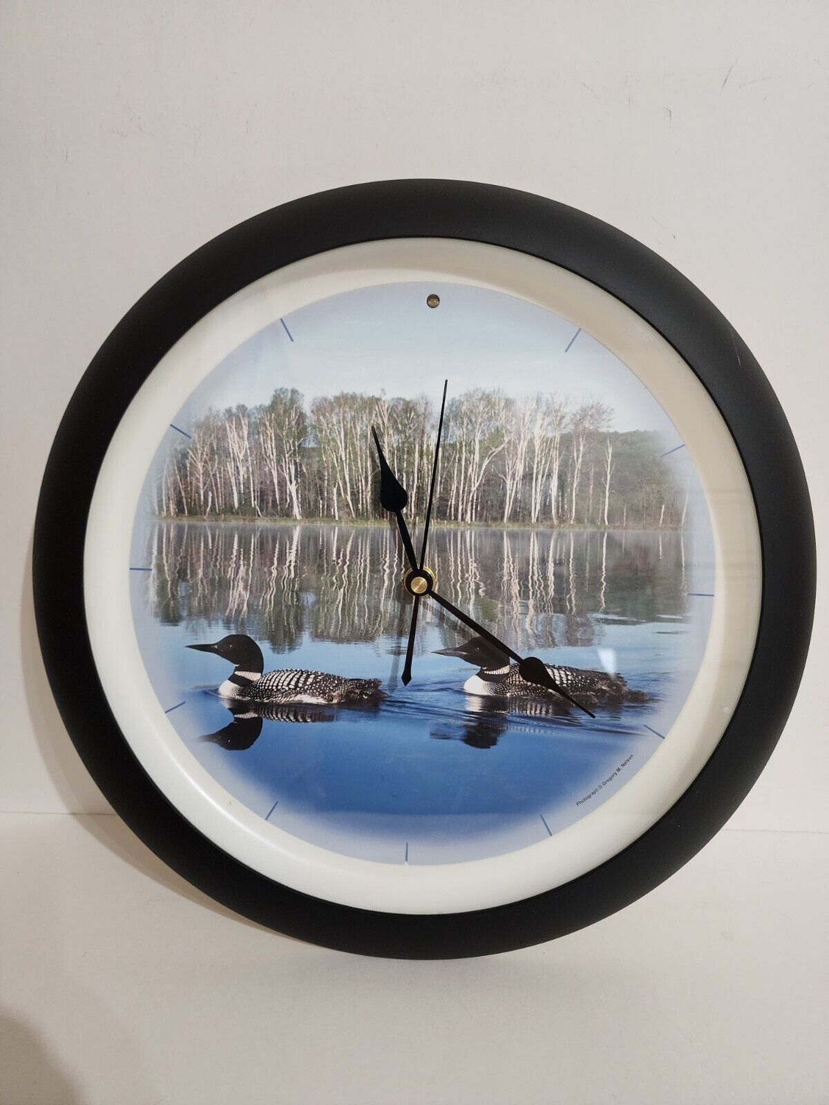 Loon Clock, Bird Song