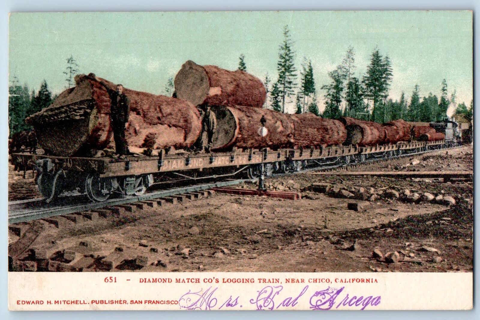 Chico California CA Postcard Diamond Match Co\'s Logging Train c1905\'s Antique