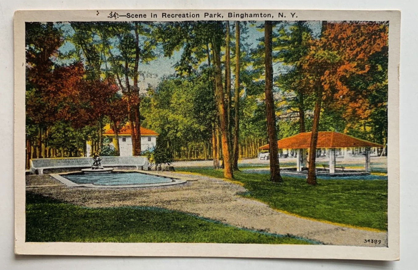 ca 1920s NY Postcard Binghamton New York Scene in Recreation Park scenic vintage