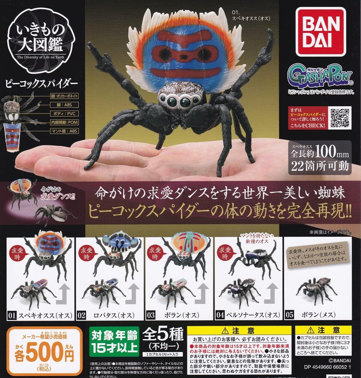 Peacock Spider Figure All 5 Type Complete set Ikimono Encyclopedia Capsule toys