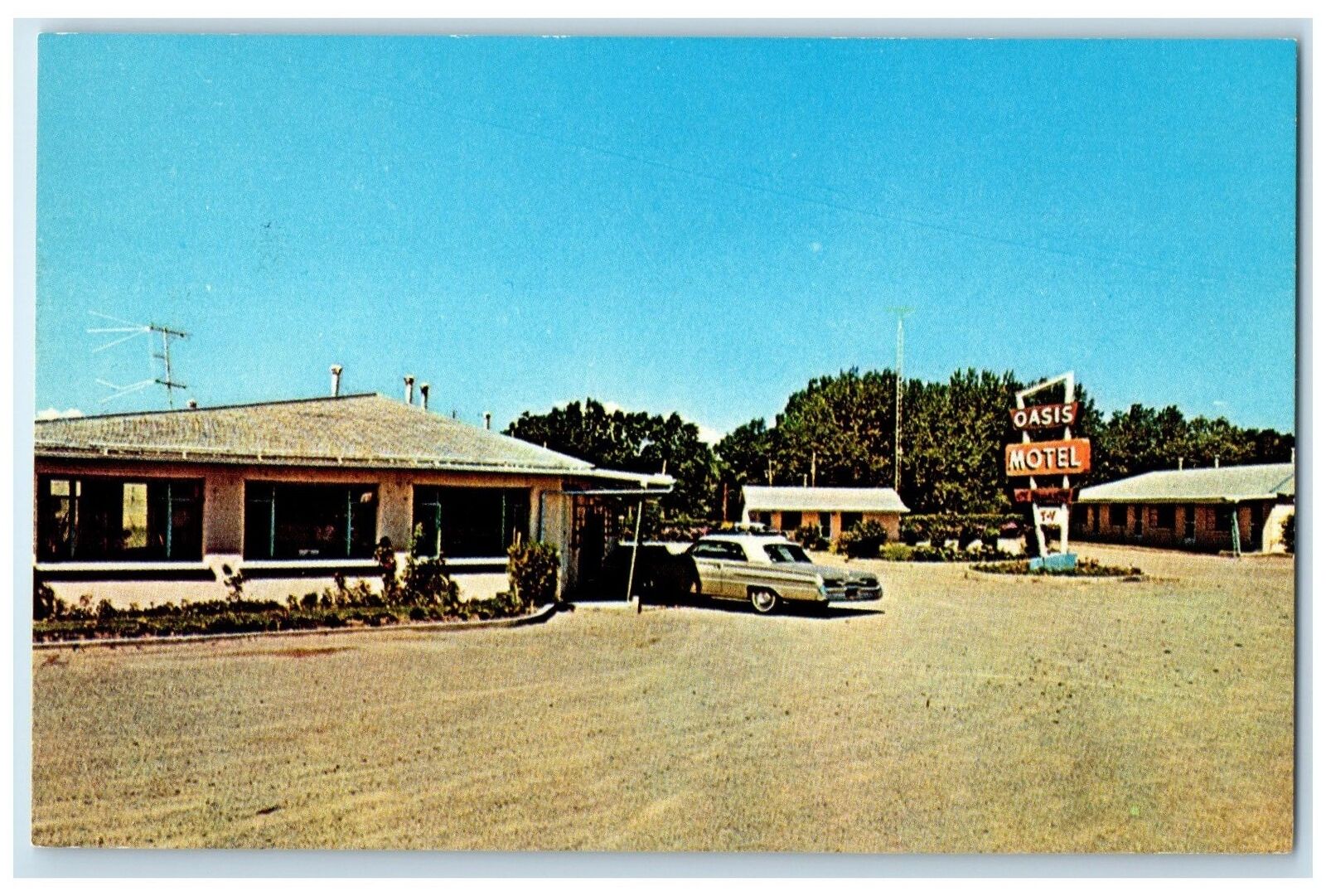 c1960s Oasis Motel Springer Exterior Roadside Albuquerque New Mexico NM Postcard