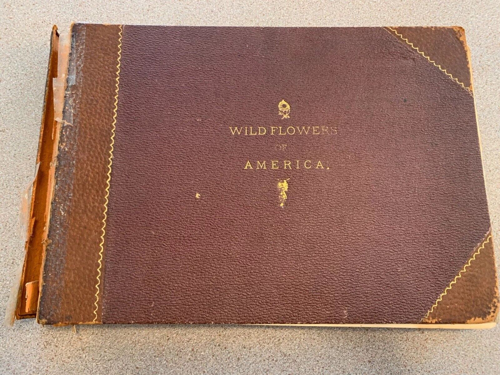Botanical Fine Art Weekly “Wild Flowers of America” 1894 18 Booklets Bound Book