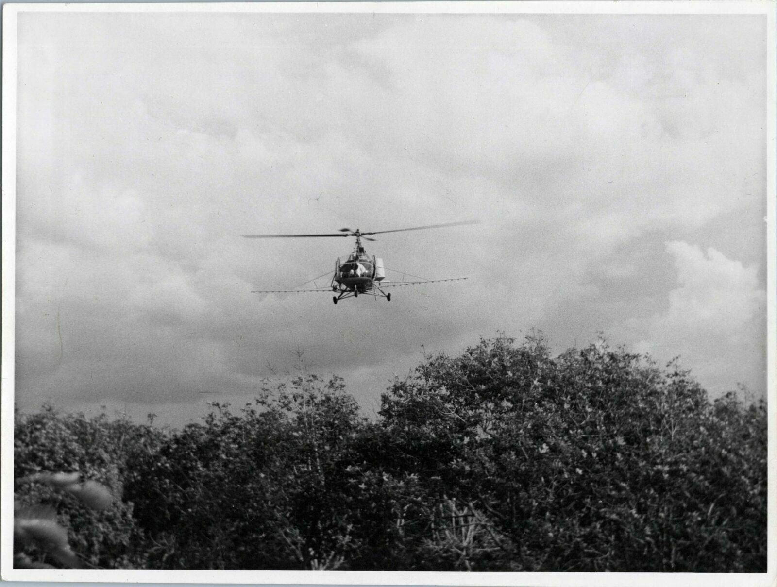 HILLER 360 HELICOPTER PEST CONTOL LTD CROP SPRAYING VINTAGE ORIGINAL PHOTO 5