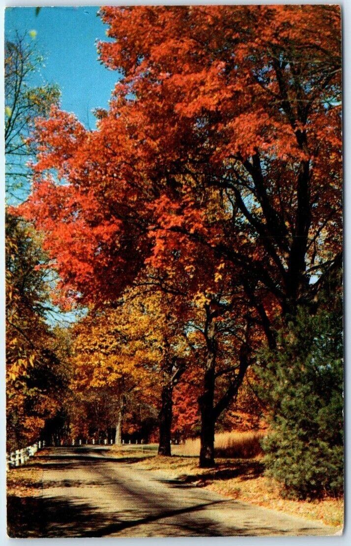 Postcard - Magnificent Autumn