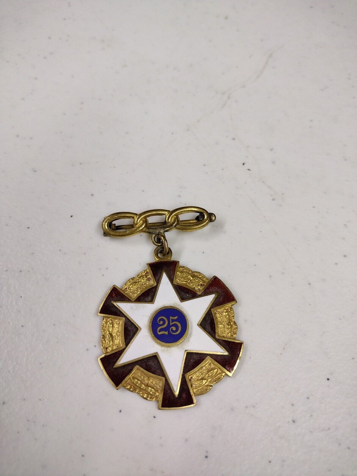 Antique I.o.o.f. Oddfellows Grand Lodge 834 Veteran Enameled Brass Medal Pin