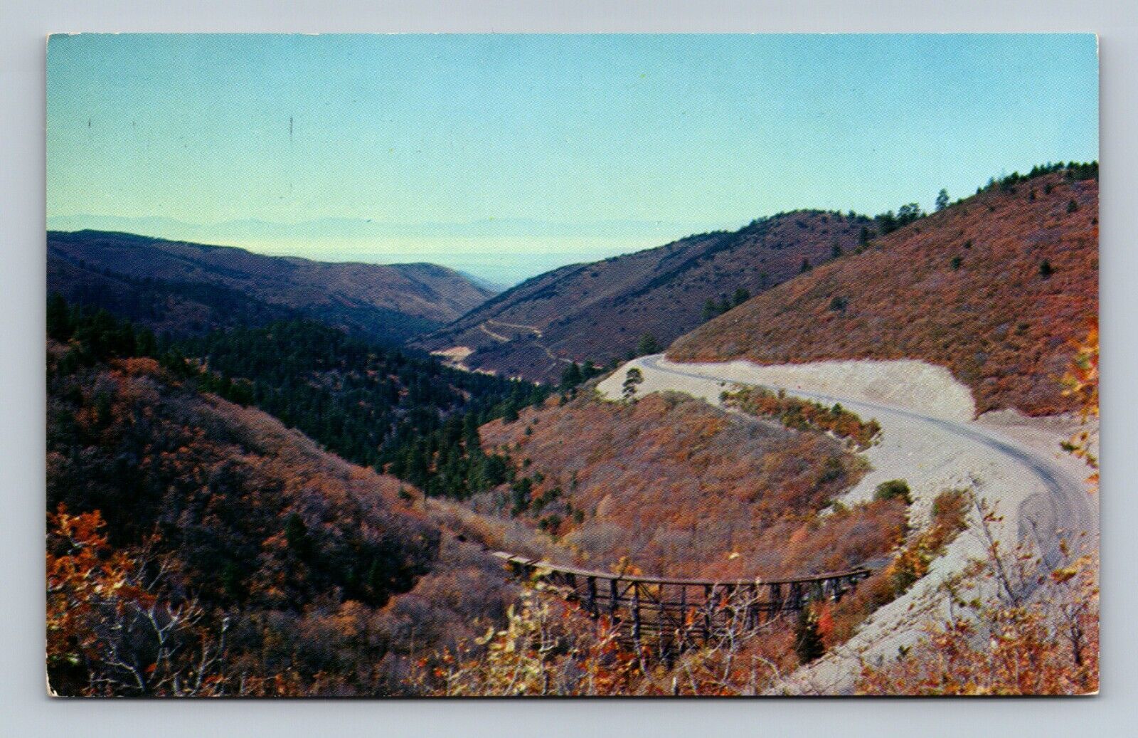 Cloudcroft NM Scenic Roadway New Mexico Vintage Postcard