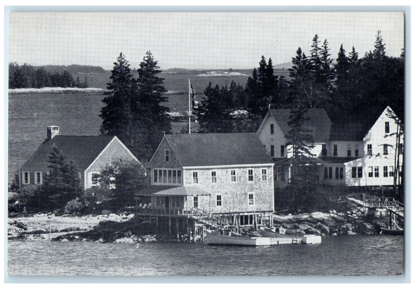 c1940\'s Audubon Camp Of Maine Hog Island Lincoln County Maine ME Trees Postcard