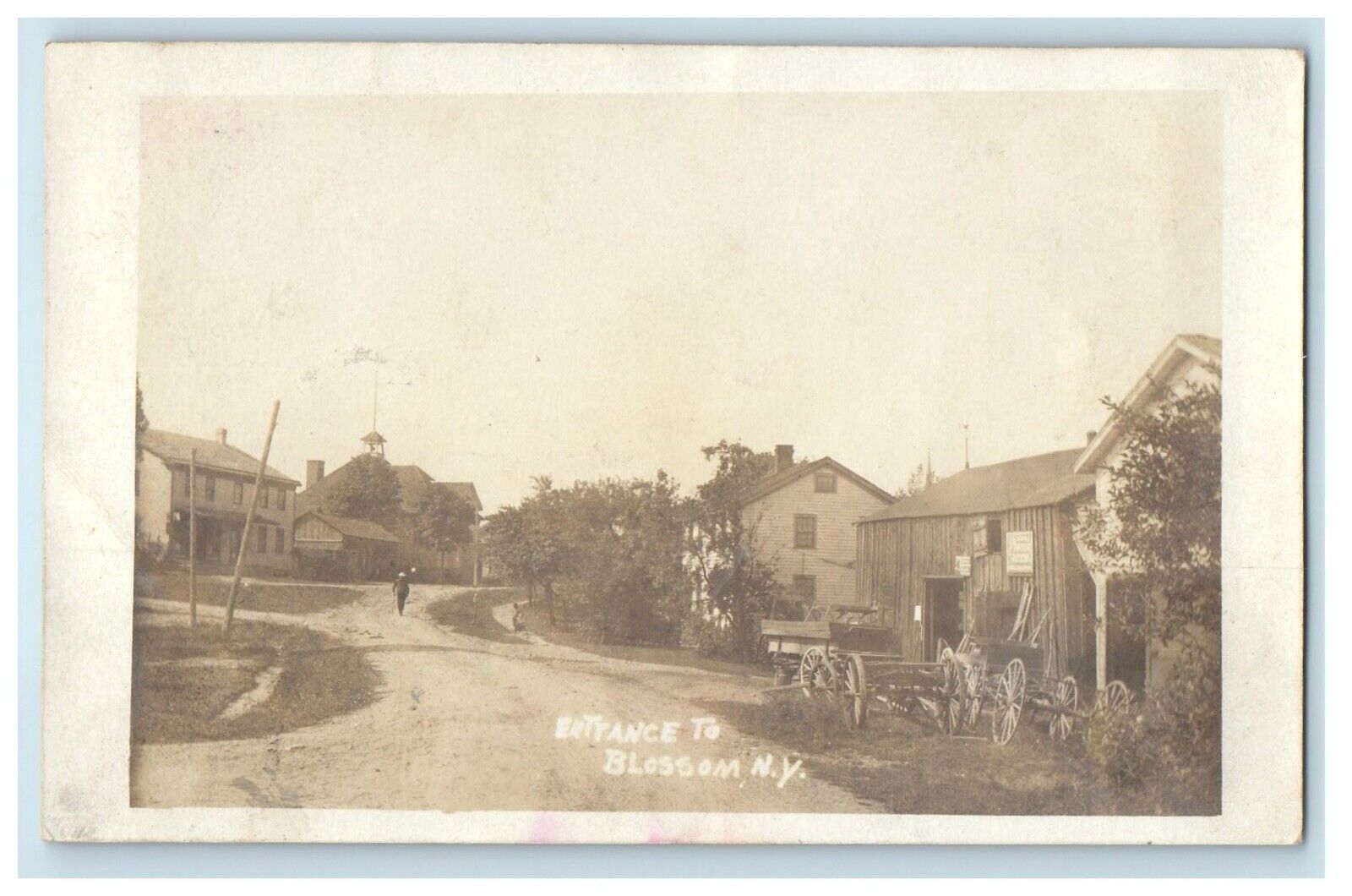 1908 Entrance To Blossom Gardenville New York NY RPPC Photo Antique Postcard