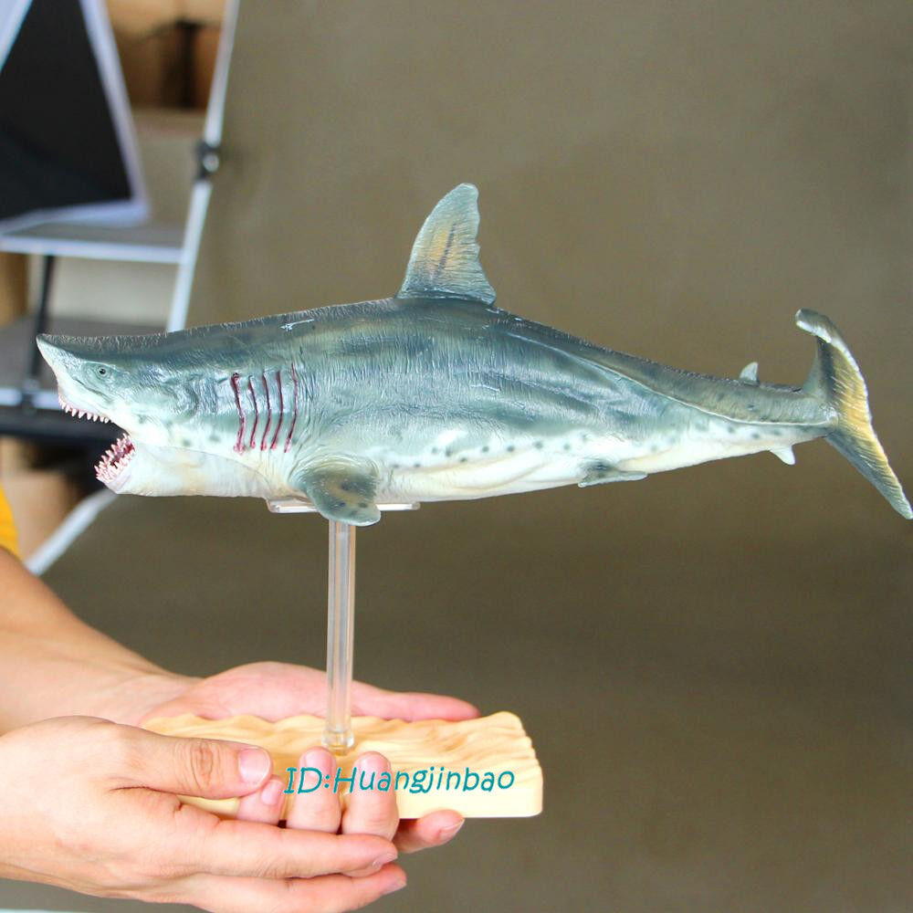 PNSO Megalodon Vinyl Model Painted Shark Statue 32cmL In Box Collection Limited