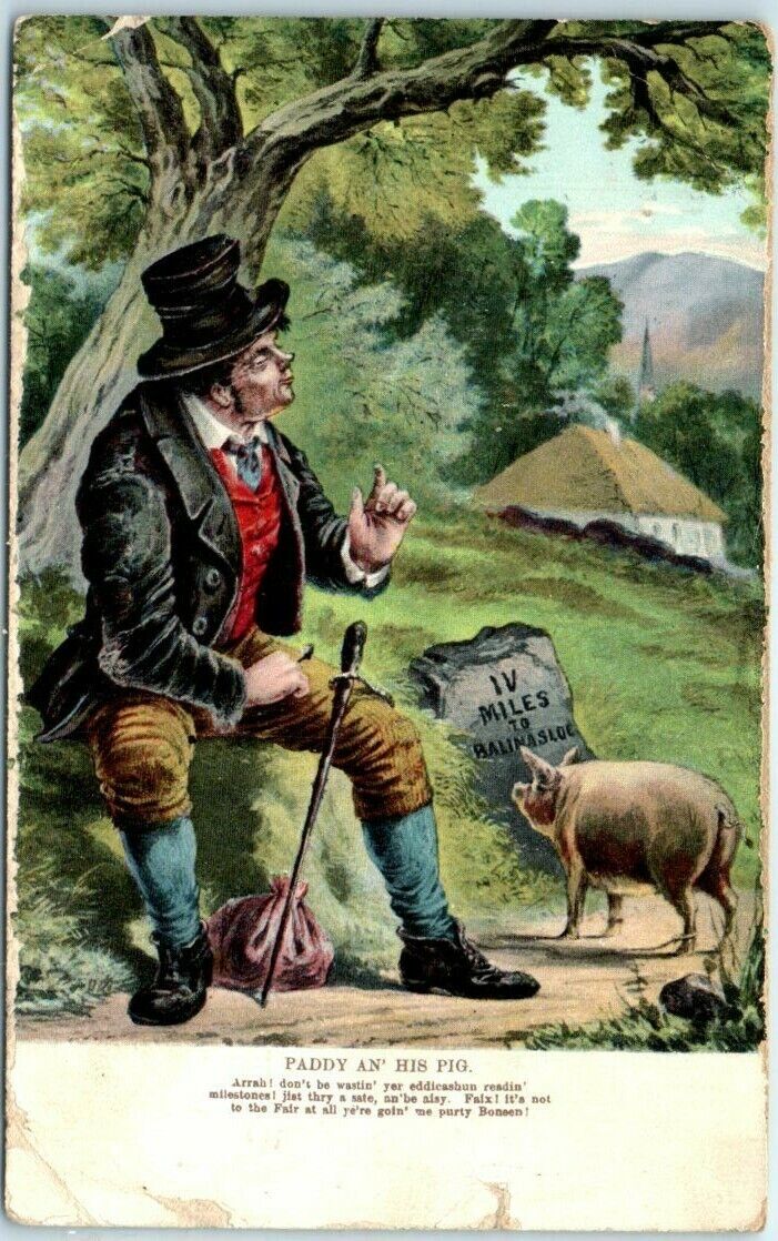 Postcard - Paddy An' His Pig