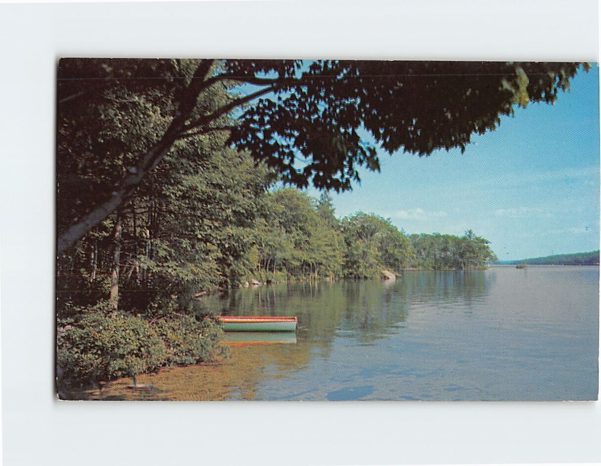 Postcard Nature/Lake Scenery