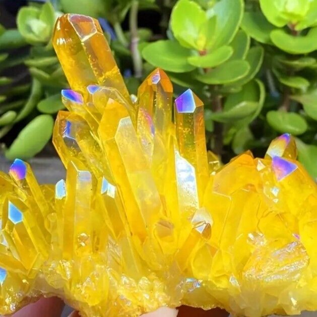 Aura Yellow Citrine Quartz Crystal Titanium Cluster Healing Specimen Home Decor