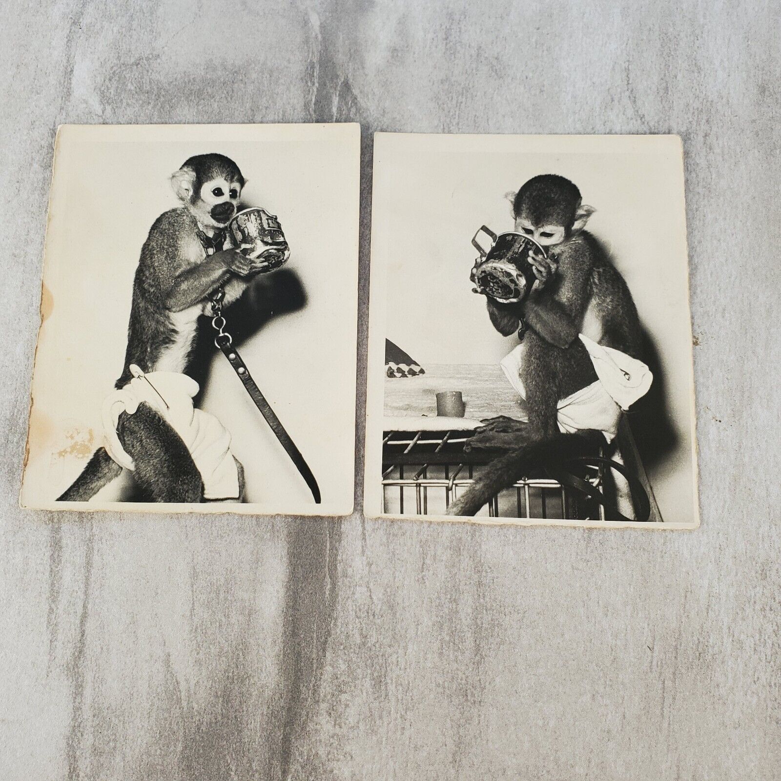 Vintage Black & White Photographs Of A Pet Monkey 4x5 Set Of 2