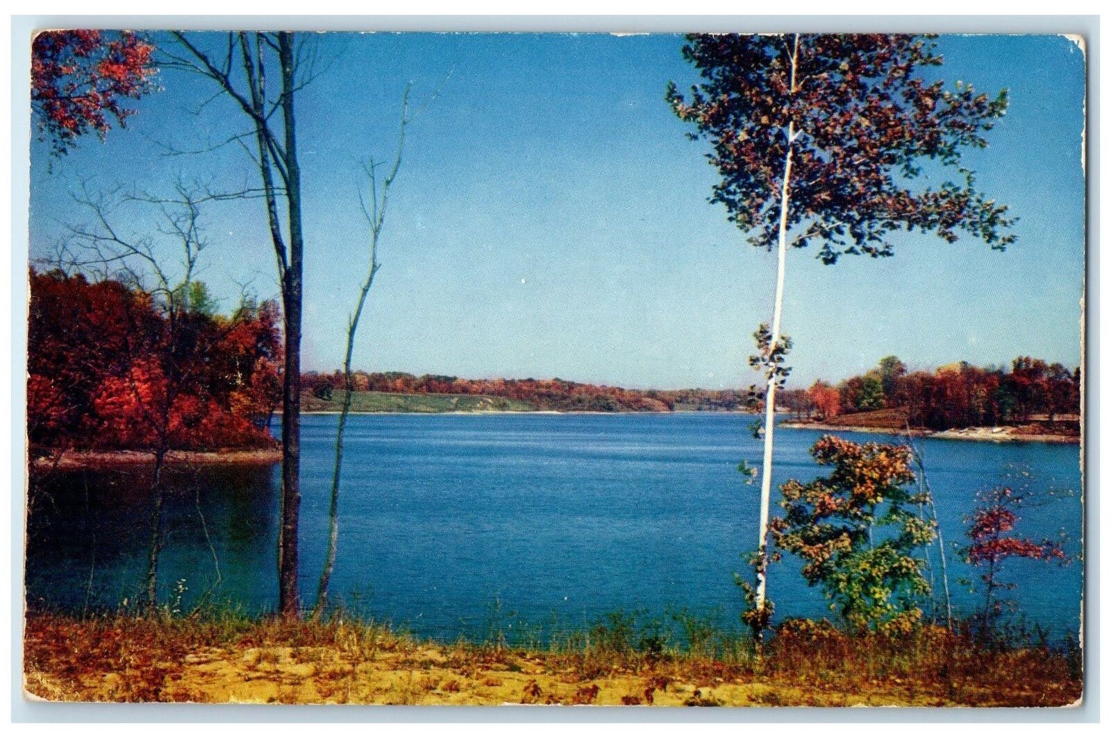 c1960s Whitewater Memorial State Park Laurel Indiana IN Unposted Trees Postcard