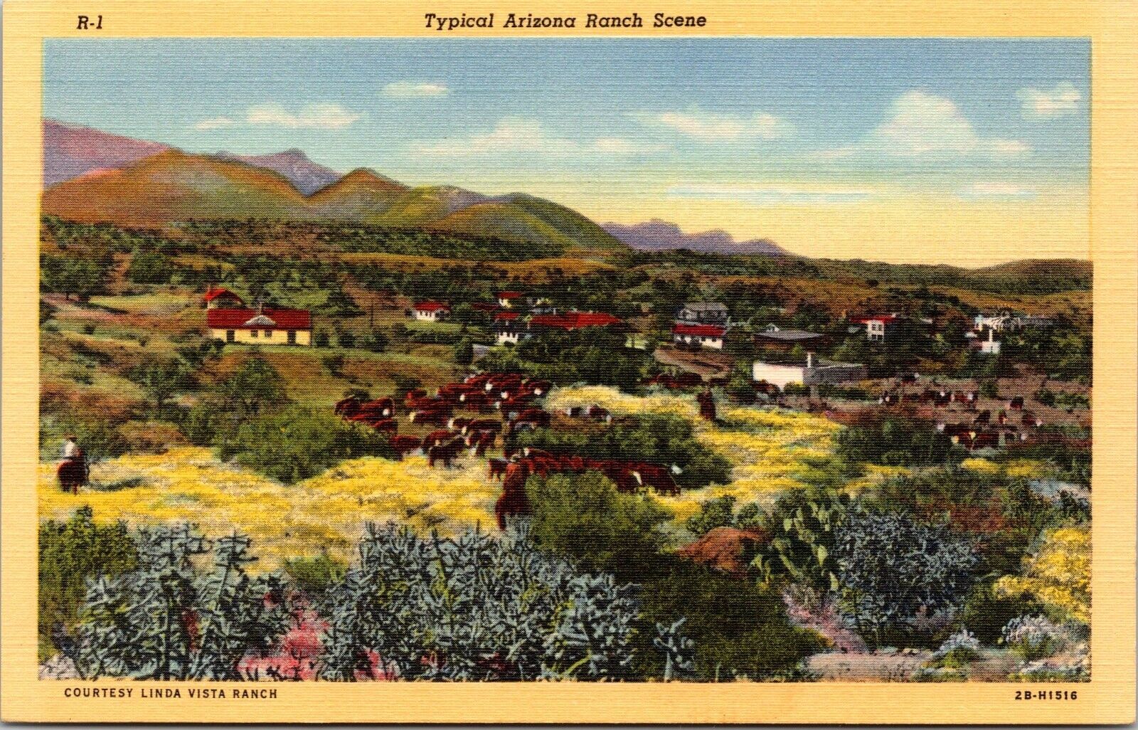 Typical Arizona Ranch Scene AZ Cattle Linda Vista Ranch Linen Vintage Postcard