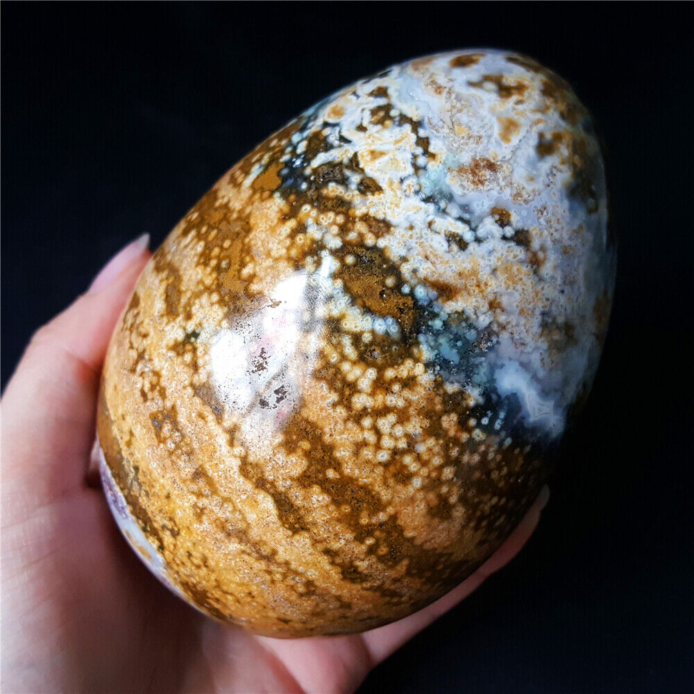 Rare 794G Natural Polished Orbicular Ocean Jasper Egg Reiki Healing  YQ152