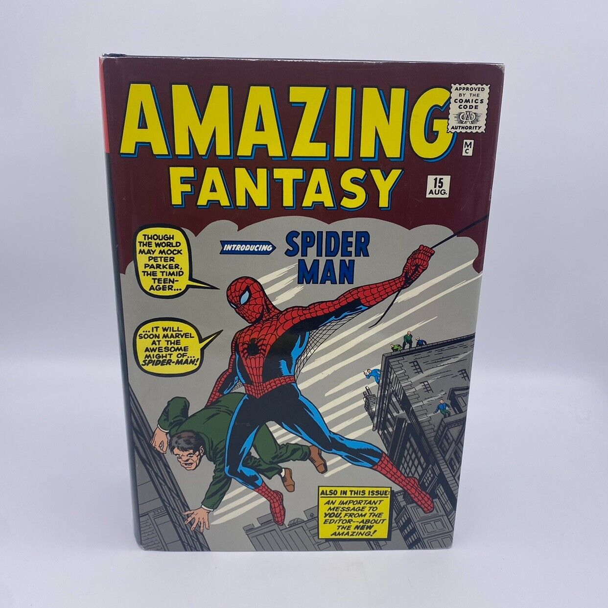 Amazing Spider-Man Vol. 1 Omnibus First Edition Second Printing 2007 Jack Kirby