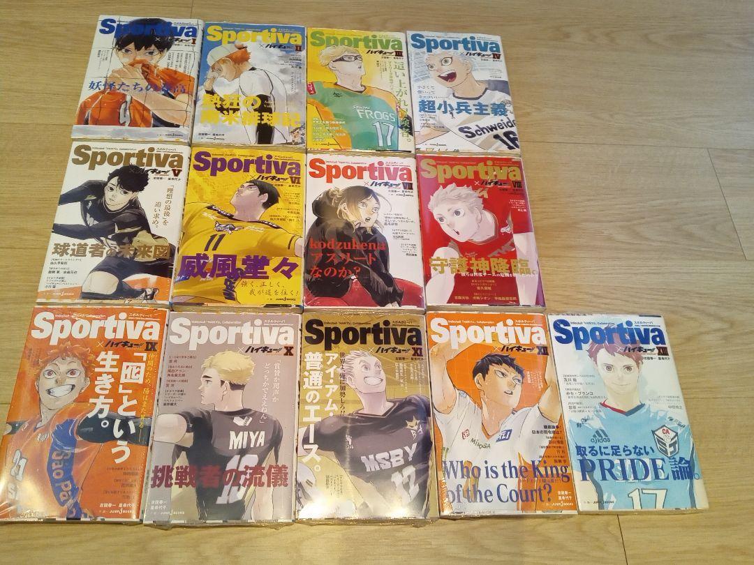 Haikyuu Novel Limited Sportiva Version Complete Set 13 & 13 Book Covers Included