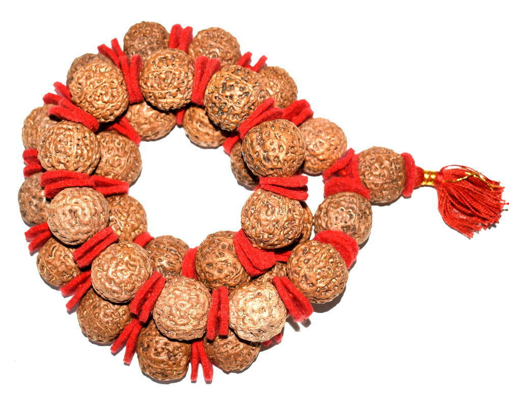 Rare 8 Mukhi Rudraksh Kantha - Rare Collector Size  - 33 beads - Java