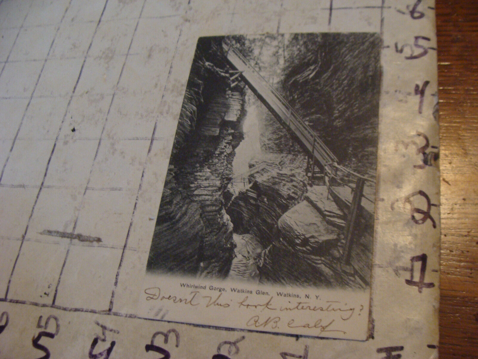 Orig Vint post card 1906 WHIRLAND GORGE, WALKINS GLEN. WATKINS NY