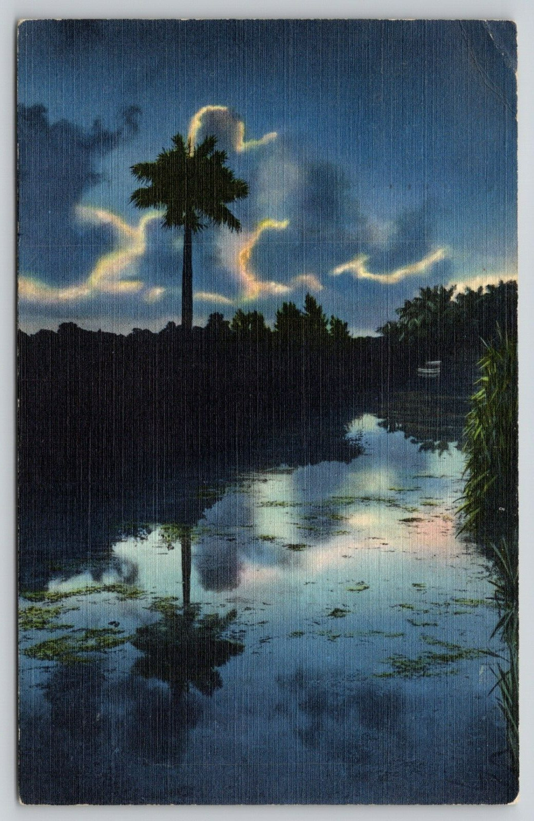 Postcard FL Florida A Lone Sentinel In The Everglades Linen A12