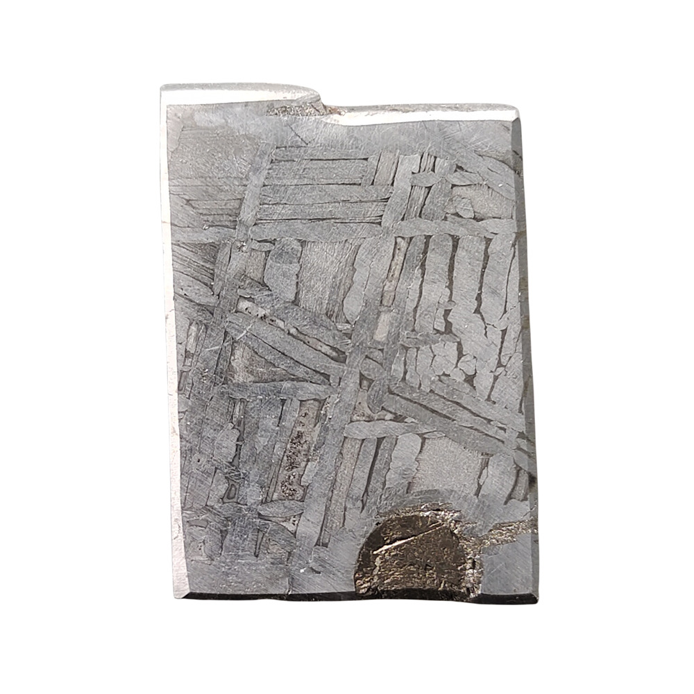 15.8g Muonionalusta meteorite slice QC196
