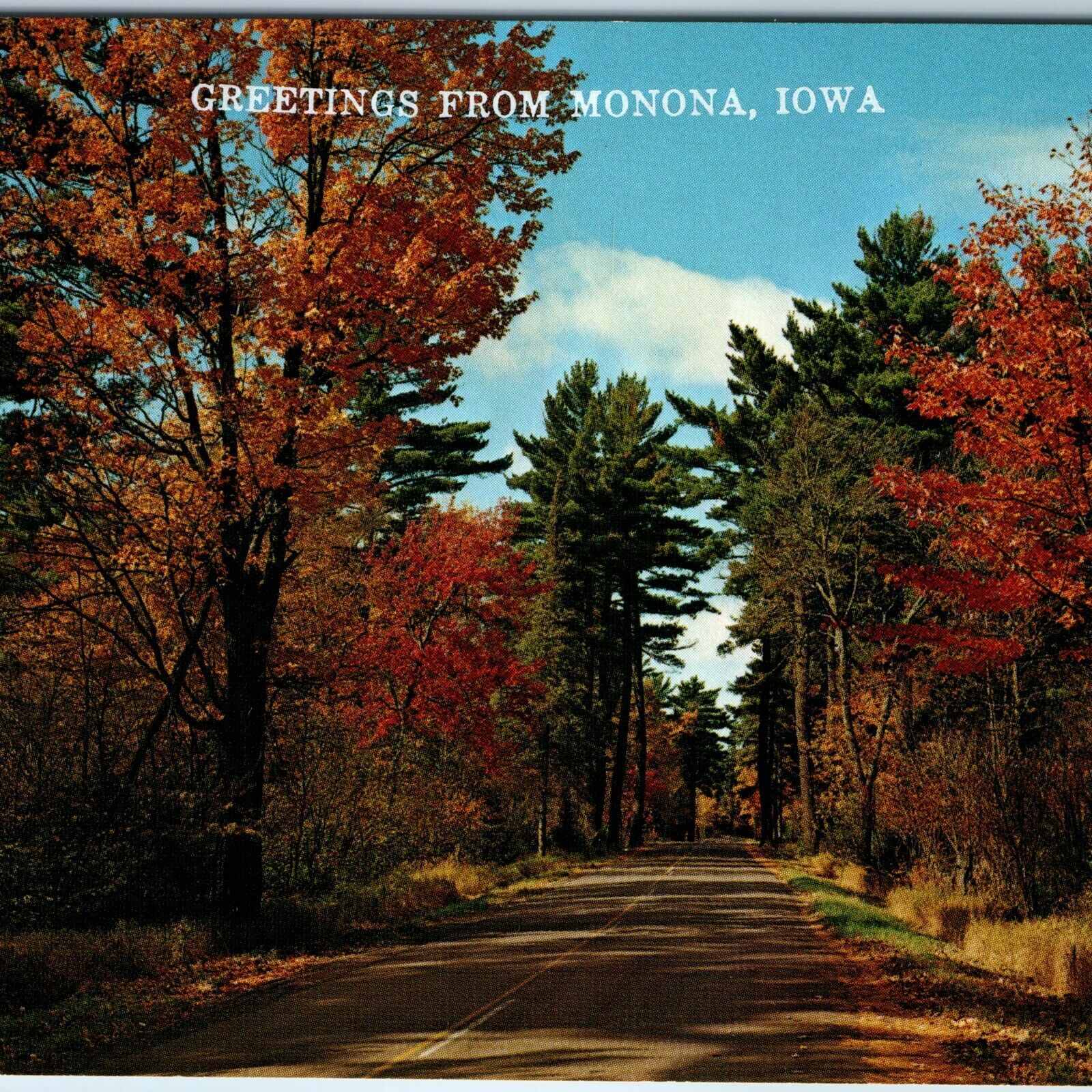 c1960s Monona, IA Iowa Greetings Road Vacationland Scene Autumn Trees PC A236