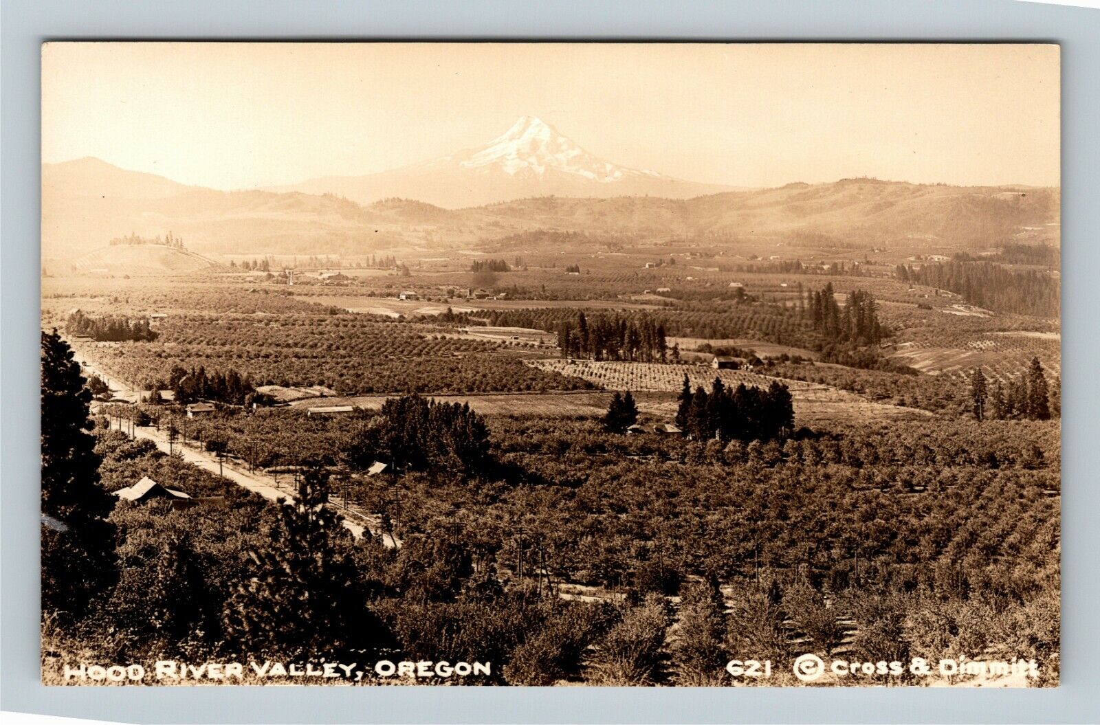 RPPC Hood River Valley OR, Scenic View, Oregon Vintage Postcard