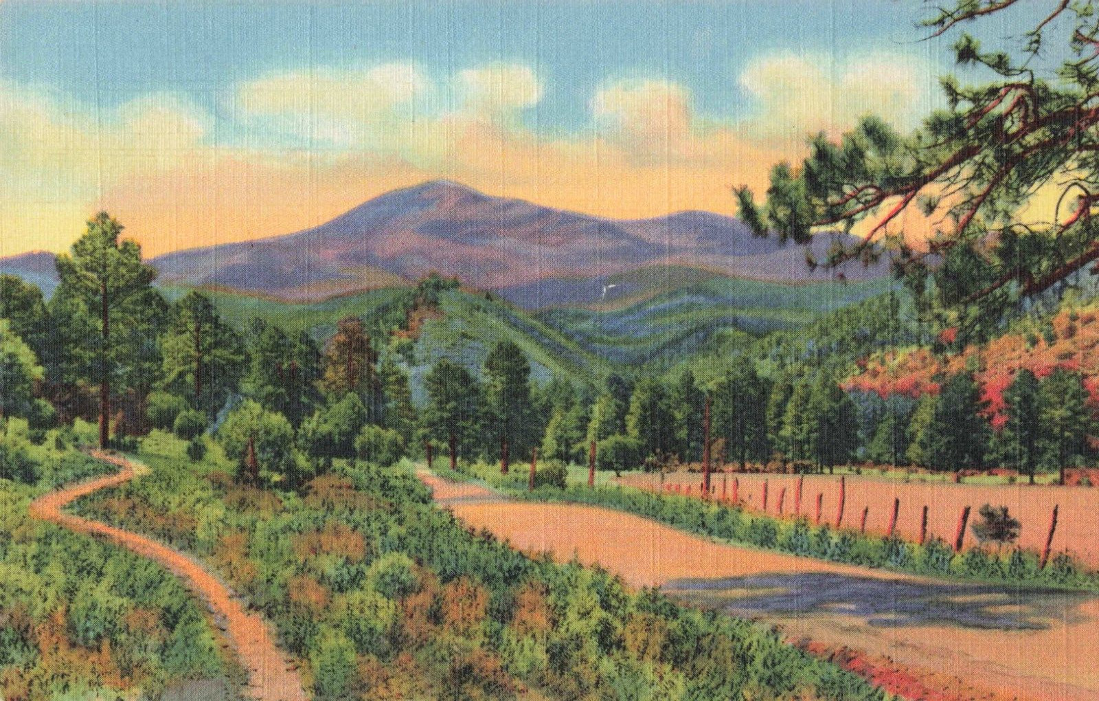 Ruidoso NM New Mexico, White Mountain Sierra Blanca, Vintage Postcard
