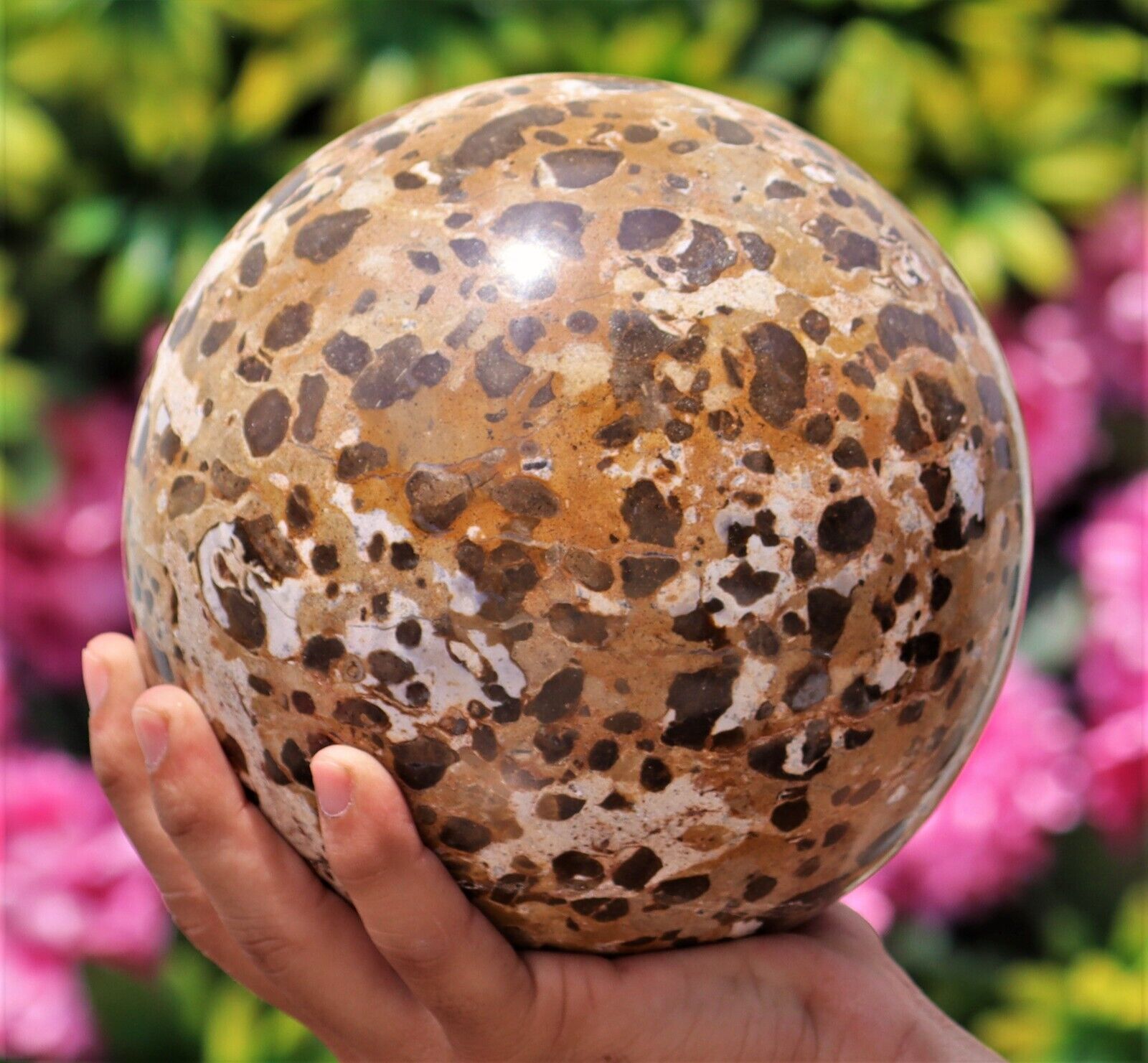 16CM Large Natural Leopard Skin Jasper Healing Energy Chakra Stone Sphere Ball