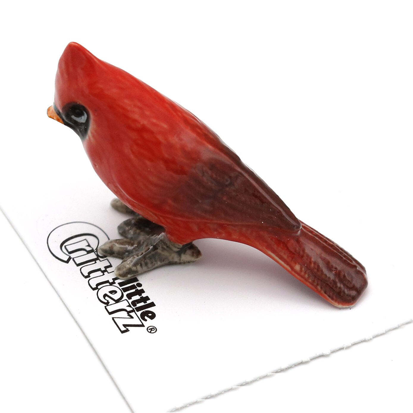 Little Critterz Red - Cardinal \