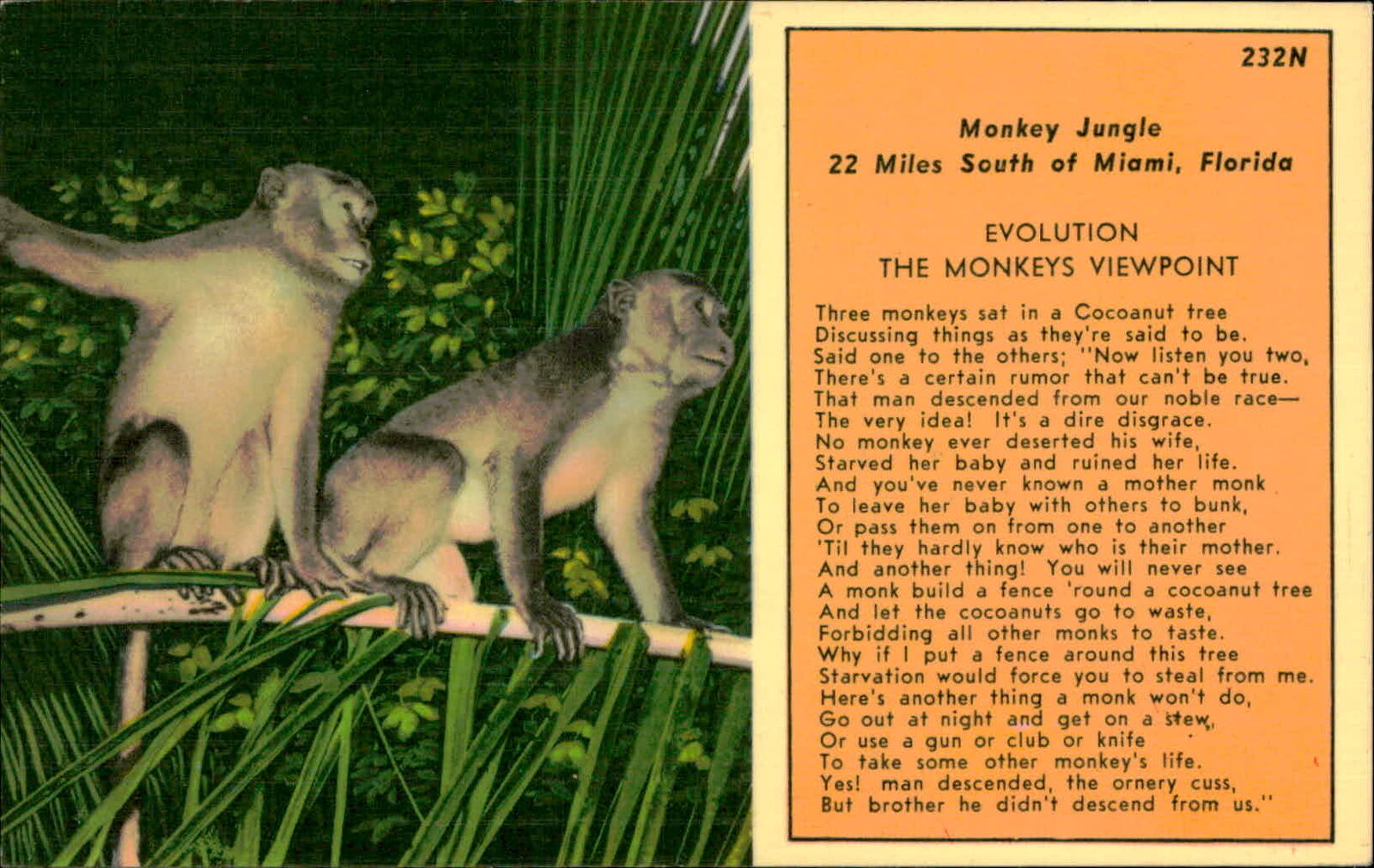 Postcard: 232N Monkey Jungle 22 Miles South of Miami, Florida EVOLUTIO