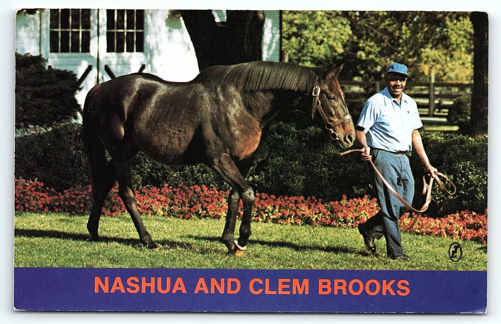 VINTAGE NASHUA AND CLEM BROOKS SPENDTHRIFT FARMS BELMONT STAKES POSTCARD P3136