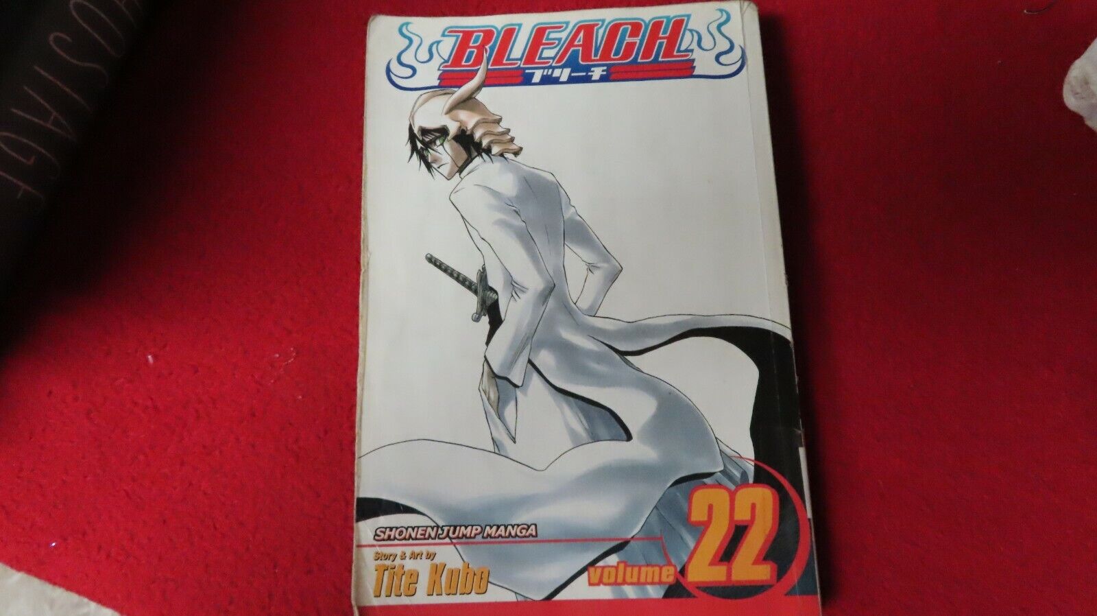 Bleach #22 English Language Anime Manga Ichigo Sasuke Kurosaki zanpakuto