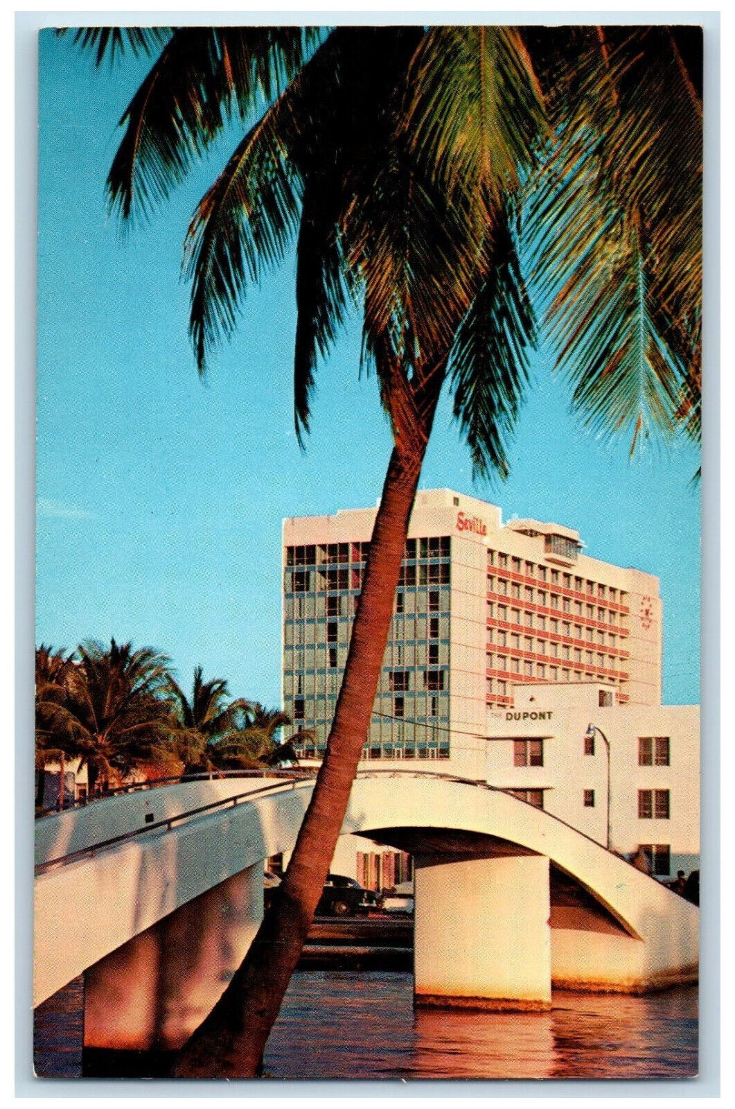 c1960's Nestled in the Palms is the Seville Hotel, Miami Beach FL Postcard